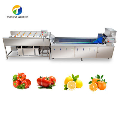 SS 380V Industriële Groente en Fruitwasmachine