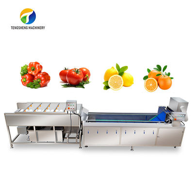 Multifunctioneel Fruit en Parallelle de Borstelmachine van de Plantaardige Verwerkingslijn