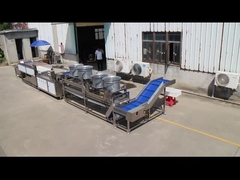 Breng uw groenten- en fruitverwerkingslijn naar een hoger niveau met de TS-M100 Parallel Brush Machine